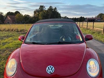 Gebraucht VW New Beetle Cabriolet 102 PS (75 kW) 2007 Rot Cabrio