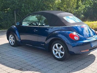 VW Beetle