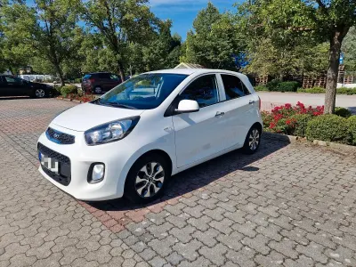 Gebraucht Kia Picanto 86 PS (63 kW) 2016 Weiß Kleinwagen
