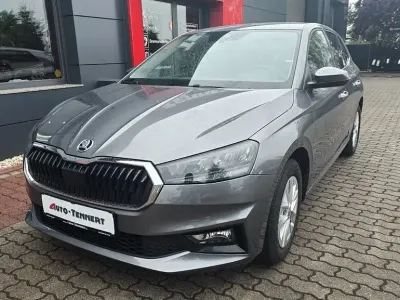 Gebraucht Skoda Fabia Selection 80 PS (58 kW) 2024 Grau Kleinwagen