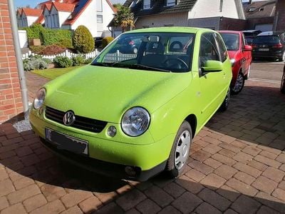 Gebraucht VW Lupo Comfortline 50 PS (36 kW) 2000 Grün Kleinwagen