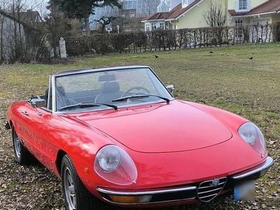 Gebraucht Alfa Romeo Spider 103 PS (75 kW) 1976 Cabrio