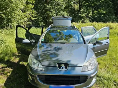 Gebraucht Peugeot 407 136 PS (100 kW) 2004 Grau Limousine