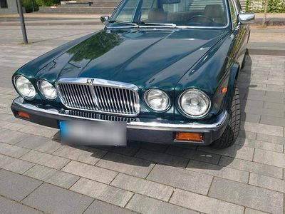 Second-hand Jaguar XJ 1980 Verde Berlinǎ