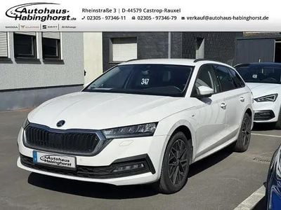 Gebraucht Skoda Octavia Clever 150 PS (110 kW) 2023 Weiss Kombi