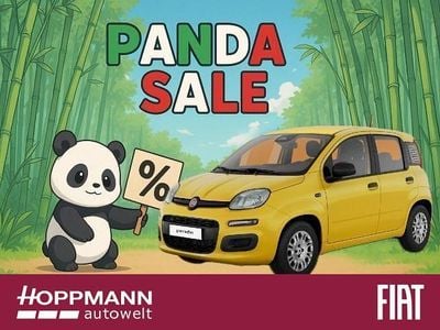 Nouă Fiat Panda Icon 69 CP (50 kW) 2025 Galben Hatchback