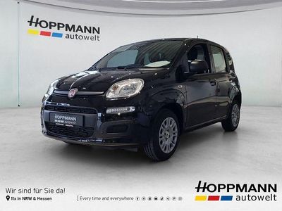 Schwarz Neu 2026 Fiat Panda Icon Kleinwagen | 14.990 € (Fairer Preis)