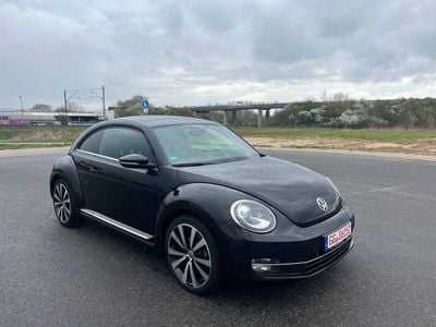 VW Beetle