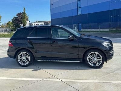 Mercedes ML250