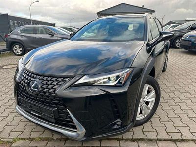 gebraucht Lexus UX 250h Hybrid Luxury Line