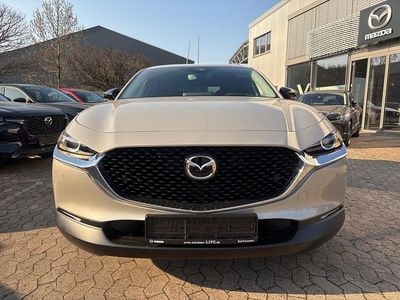 Neu Mazda CX-30 Homura-Line 186 PS (136 kW) 2026 SUV