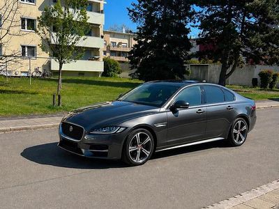 Brugt Jaguar XF 241 HK (177 kW) 2019 Grå Sedan