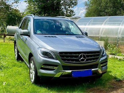 Mercedes ML350