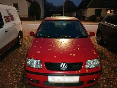 VW Polo