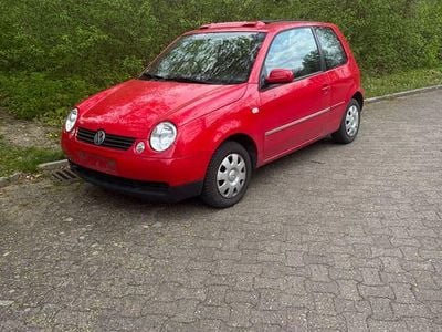 Occasion VW Lupo 50 PK (36 kW) 2003 Rood Hatchback