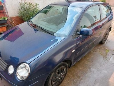 VW Polo