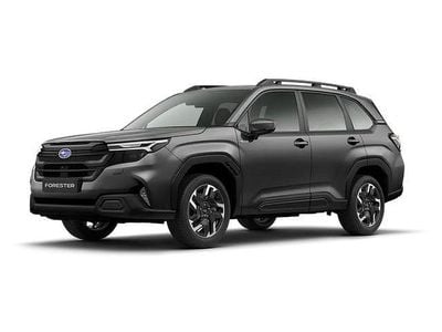 Gebraucht Subaru Forester 136 PS (100 kW) 2025 Grau SUV