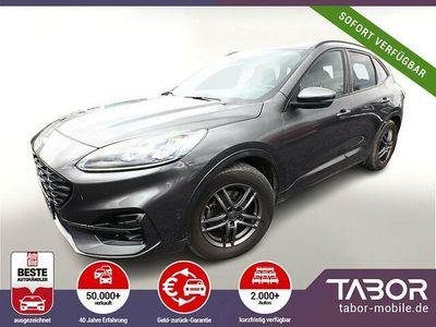 Usata Ford Kuga ST-Line X 150 CV (110 kW) 2021 Grigio SUV