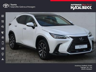 Gebraucht Lexus NX350h E-FOUR Executive Line 243 PS (178 kW) 2024 Weiß SUV