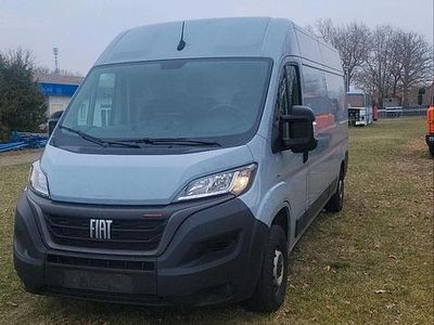 Gebraucht Fiat Ducato 160 PS (117 kW) 2022 Grau Van