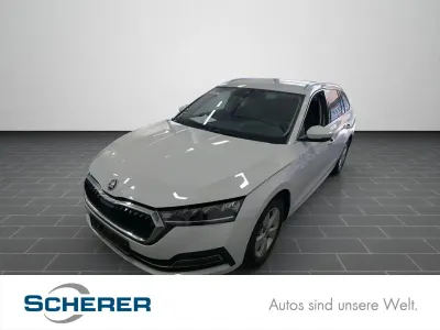 Gebraucht Skoda Octavia Style 116 PS (85 kW) 2024 Moonweiß perleffekt (metallic) Kombi