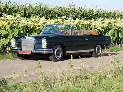 Gebraucht Mercedes 250 SE 231 PS (169 kW) 1967 Grün Cabrio