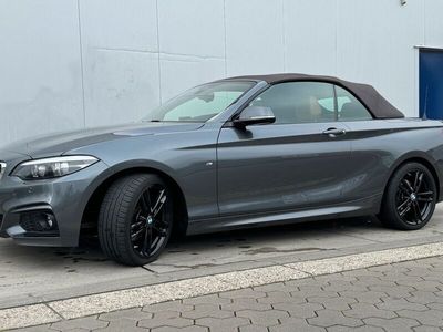 gebraucht BMW 220 i, Cabrio, M Paket