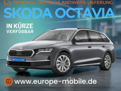 Neu Skoda Octavia Family 150 PS (110 kW) 2026 Graphitegrau metallic Kombi