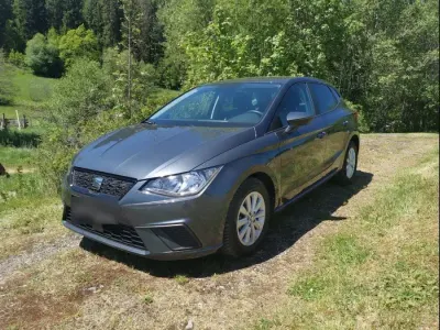 Gebraucht Seat Ibiza Beats 95 PS (69 kW) 2021 Grau Kleinwagen