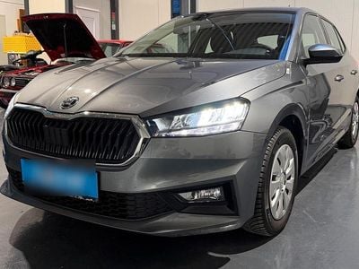 Grau Gebraucht 2024 Skoda Fabia Essence Kleinwagen | 15.000 € (Fairer Preis)