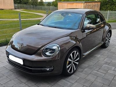 VW Beetle