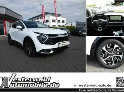 Gebraucht Kia Sportage Spirit 136 PS (100 kW) 2024 Deluxeweiß SUV