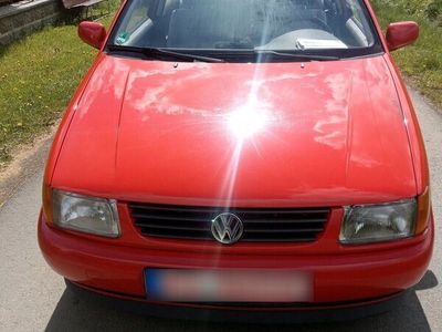 gebraucht VW Polo 6N