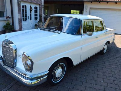Usata Mercedes 220 120 CV (88 kW) 1964 Bianco Berlina