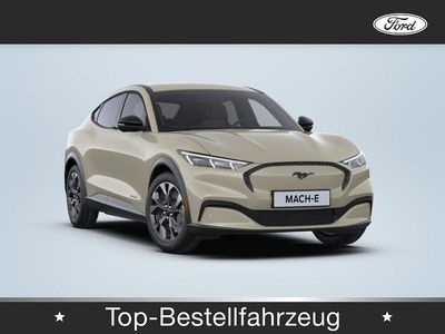 Gebraucht Ford Mustang Mach-E Standard Range 197 kW (269 PS) 2024 SUV