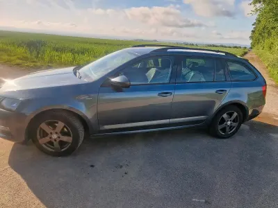 Gebraucht Skoda Octavia Clever 115 PS (84 kW) 2018 Grau Kombi