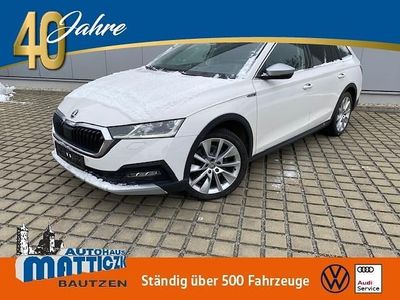 Gebraucht Skoda Octavia Comfort 150 PS (110 kW) 2022 Candyweiß Kombi