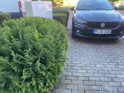 Gebraucht Fiat Tipo Street 95 PS (69 kW) 2019 Schwarz Limousine