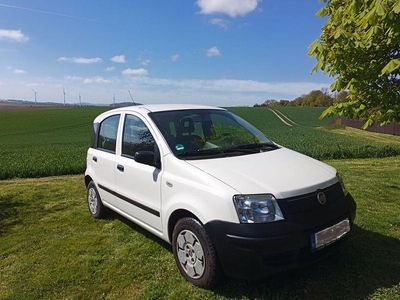 Second-hand Fiat Panda Active 54 CP (39 kW) 2009 Alb Hatchback
