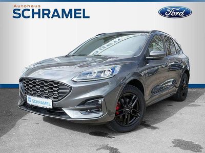 Gebraucht Ford Kuga ST-Line X 224 PS (164 kW) 2022 Grau SUV