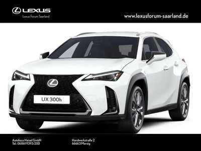 Lexus UX 300h