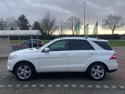 Gebraucht Mercedes ML350 258 PS (189 kW) 2013 Weiß SUV