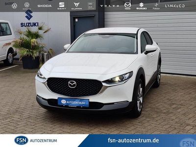 Gebraucht Mazda CX-30 Exclusive-Line 140 PS (102 kW) 2025 Weiß SUV
