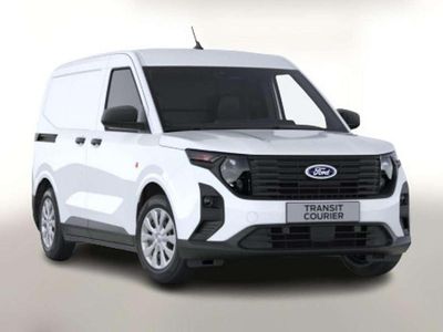 Frozen white Neu 2025 Ford Transit Trend Van / Kleinbus | 21.000 € (Guter Preis)
