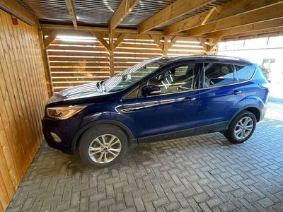 Gebraucht Ford Ecosport Titanium 110 PS (80 kW) 2018 Blau SUV