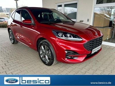 Gebraucht Ford Kuga ST-Line X 224 PS (164 kW) 2024 Lucidrot metallic SUV