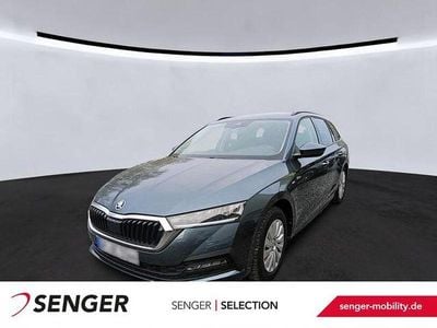 Usata Skoda Octavia Ambition 150 CV (110 kW) 2022 Grigio Station wagon