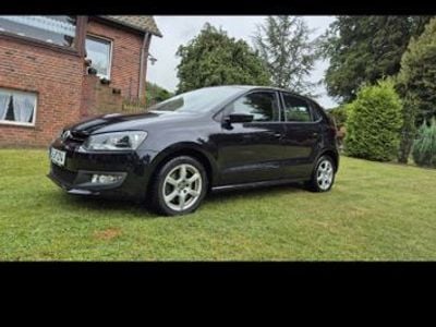 VW Polo