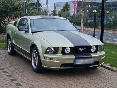 gebraucht Ford Mustang 