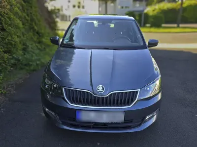Brugt Skoda Fabia